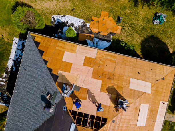 Best Storm Damage Roof Repair  in Gainesboro, TN